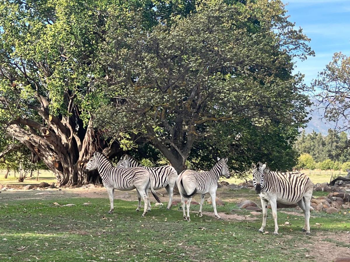 Welbedacht Game & Nature Reserve 图尔巴 外观 照片