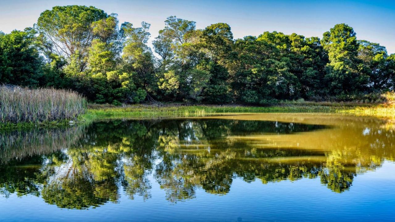 Welbedacht Game & Nature Reserve 图尔巴 外观 照片