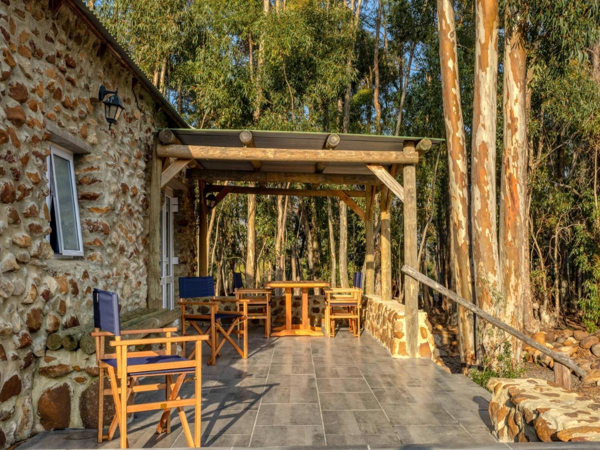 Welbedacht Game & Nature Reserve 图尔巴 外观 照片