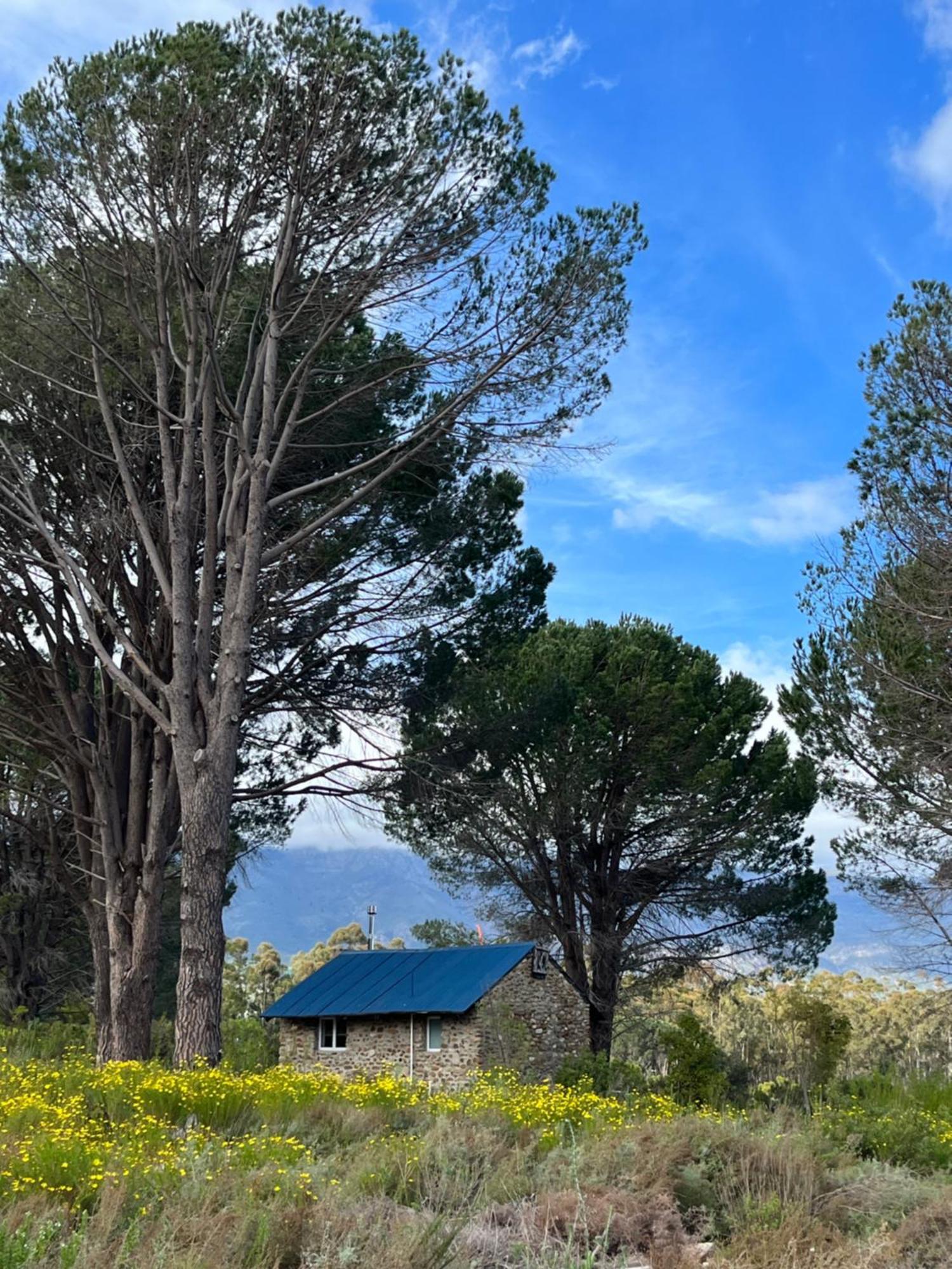 Welbedacht Game & Nature Reserve 图尔巴 外观 照片